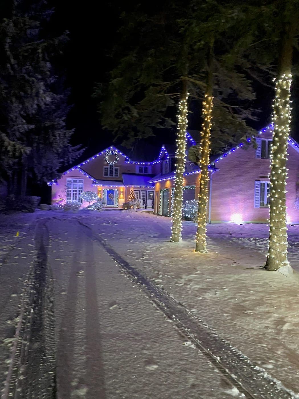 Large home with blue and warm-white roofline Christmas lights and pine trunks wrapped in warm-white lights