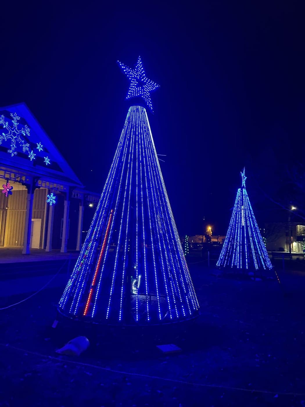 Glowing blue LED cone Christmas trees topped with lit stars at an outdoor holiday light show