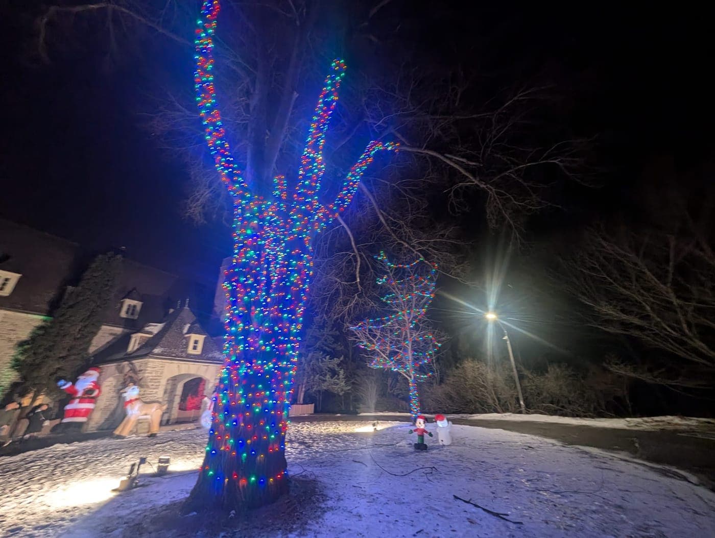 Large tree wrapped in colourful Christmas lights on a snowy estate lawn beside a stone manor at night
