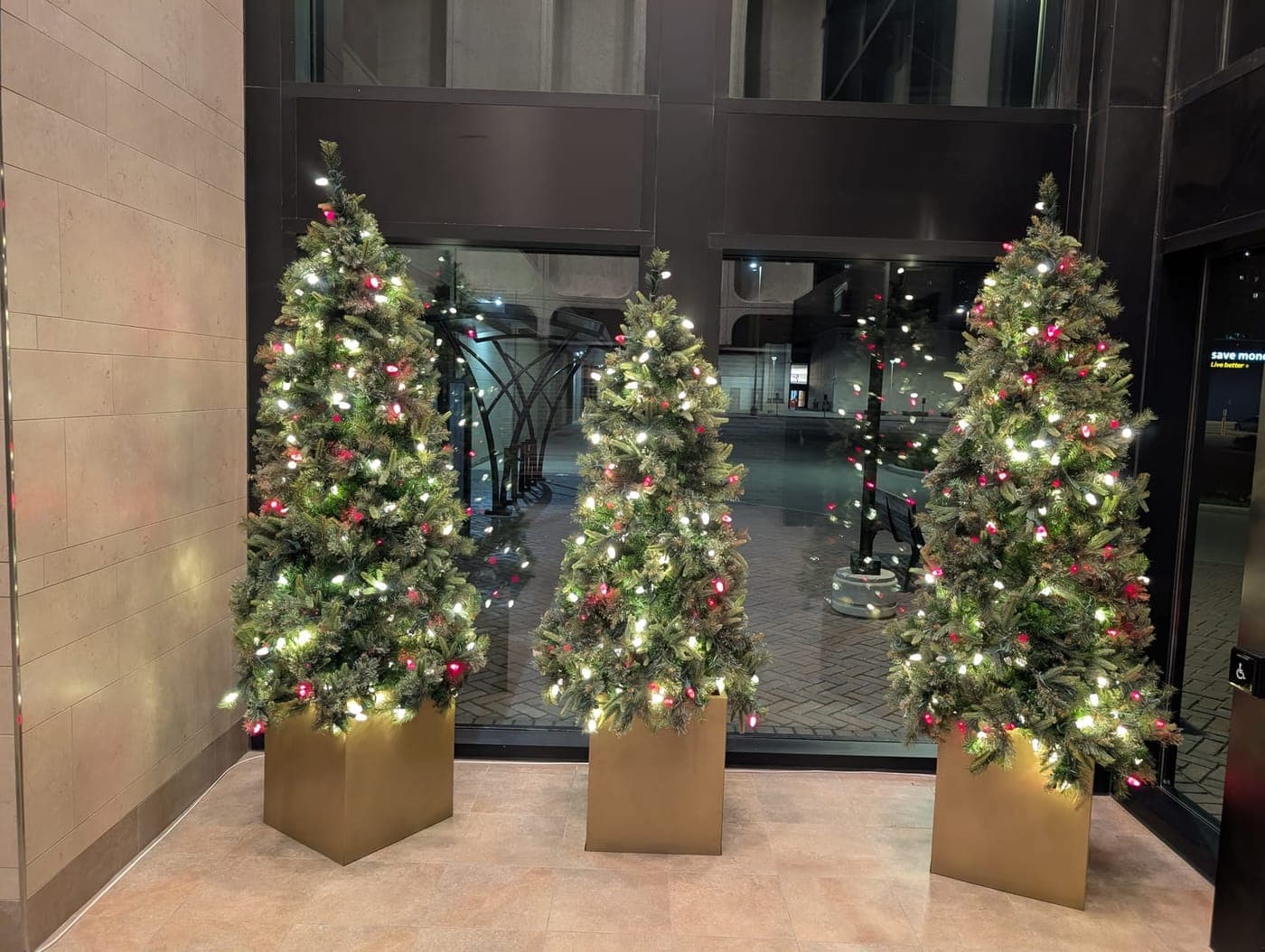 Three potted Christmas trees with warm and red lights in gold planters at a commercial building entrance