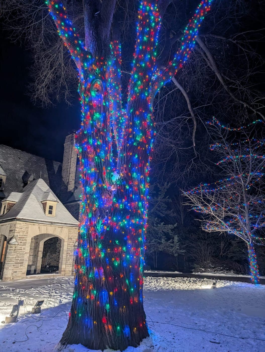 Large tree wrapped in multicolour LED lights outside a stone estate on a snowy winter night