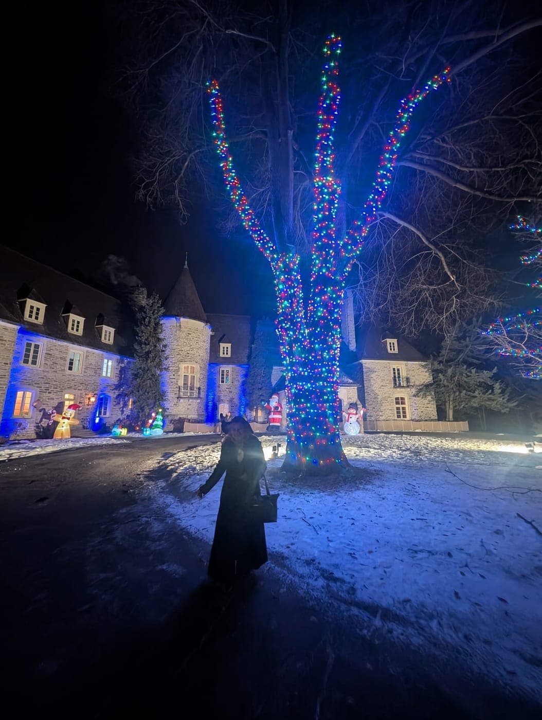 Towering tree wrapped in multicolour Christmas lights beside a floodlit stone estate at night.