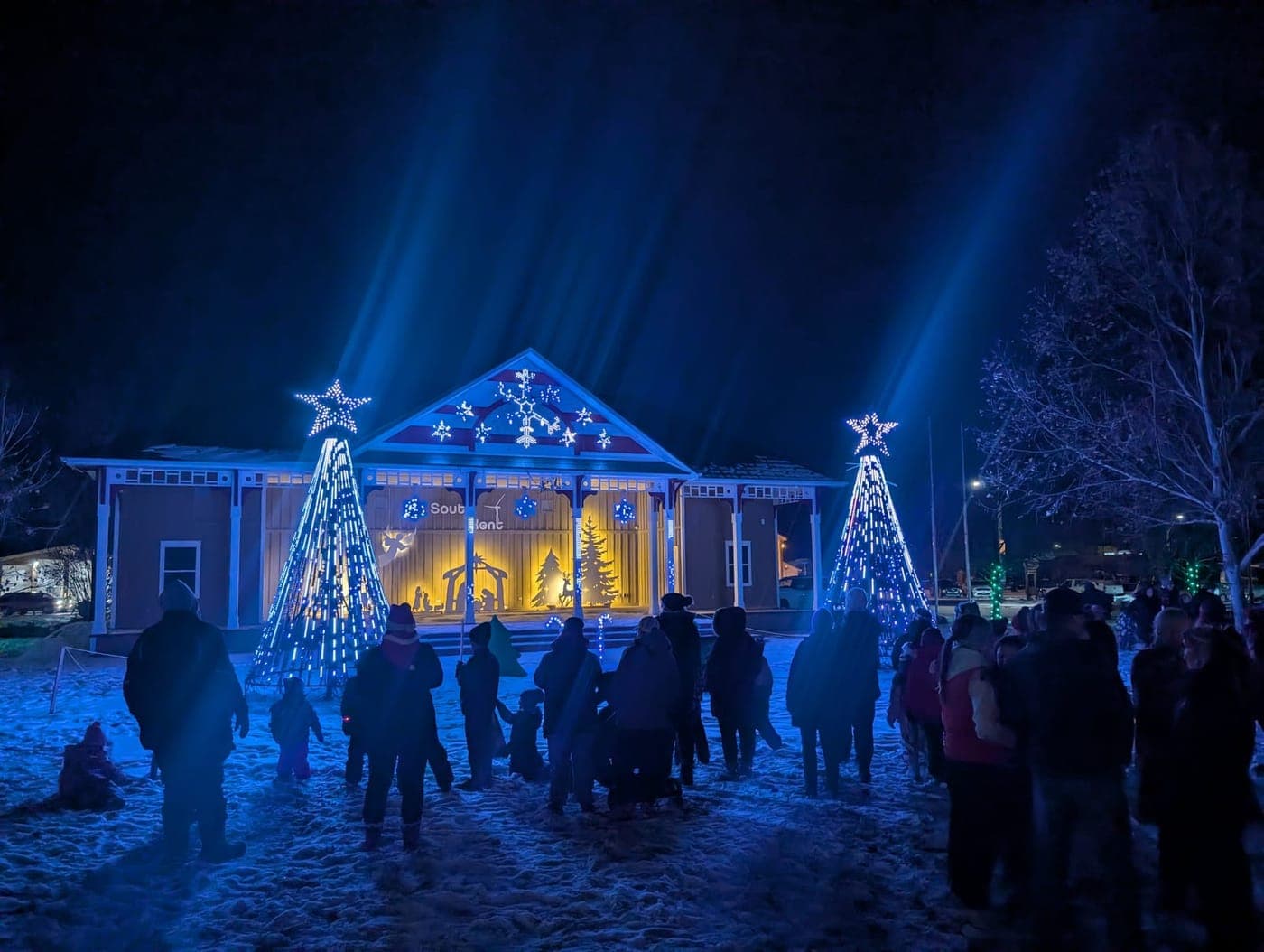 Crowd gathered at an outdoor Christmas light show with illuminated trees and a lit pavilion at night.
