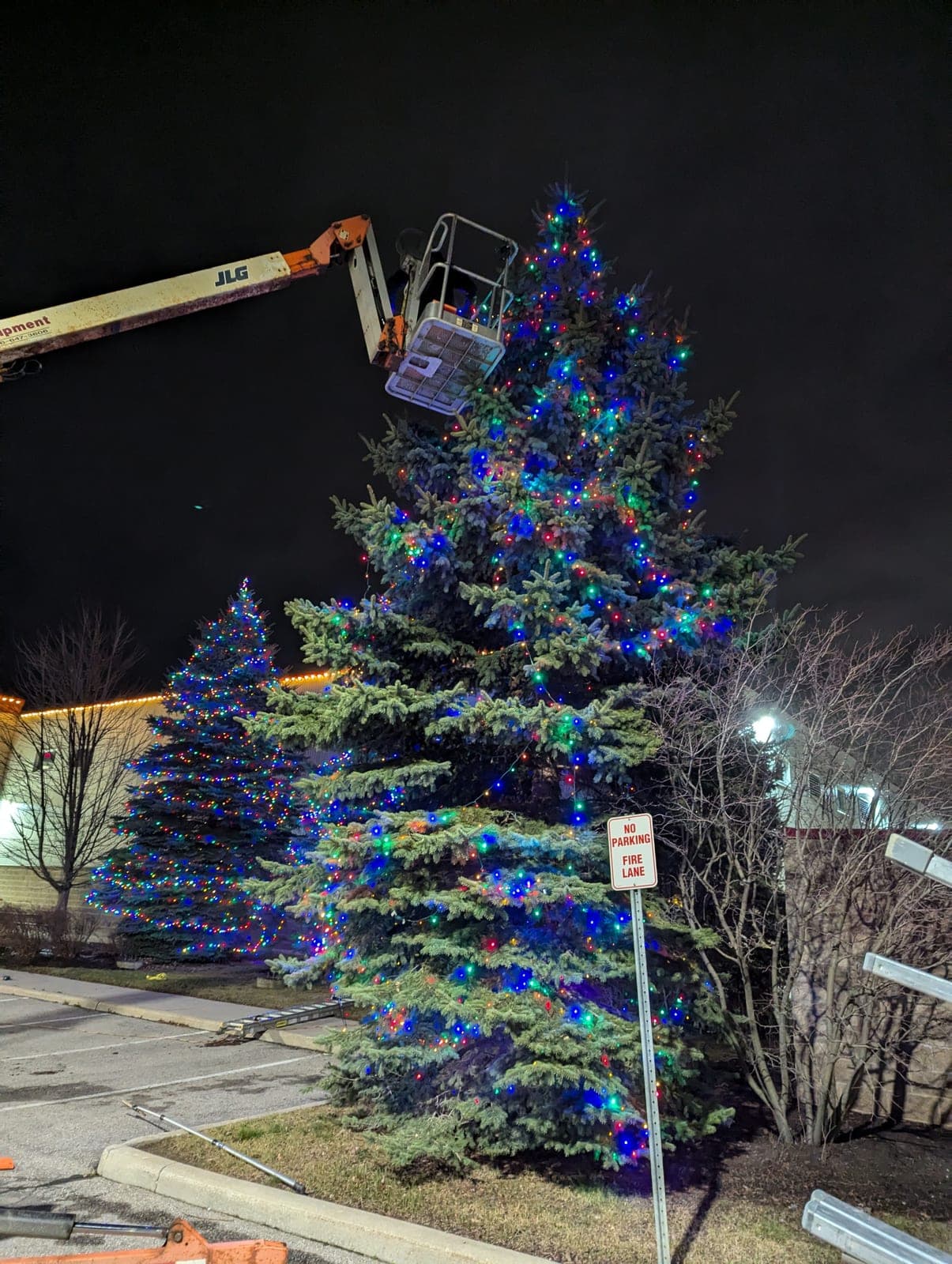 Boom lift installing multicolour Christmas lights on tall evergreen trees at a commercial property at night