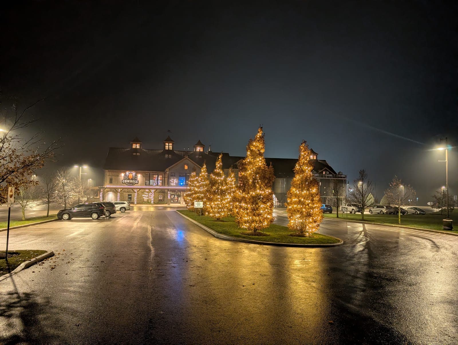 Illuminated wrapped trees and building lights at a commercial restaurant on a rainy winter night