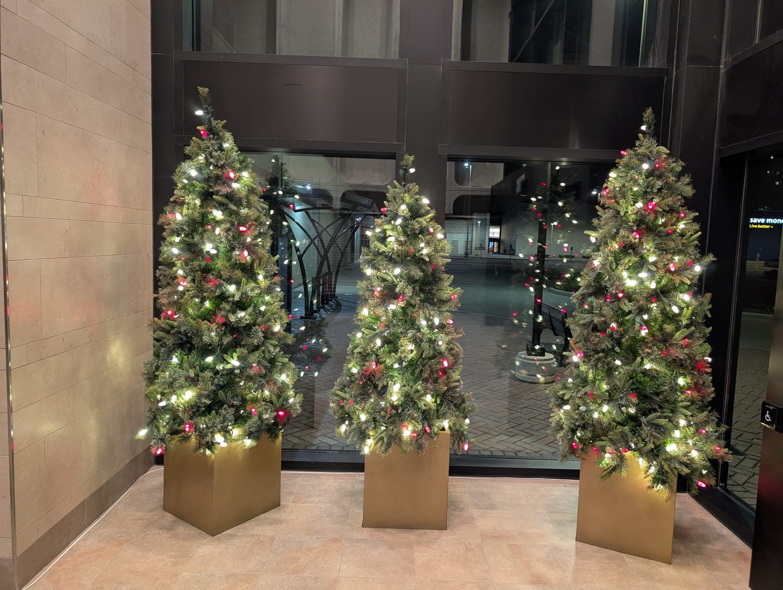 Three potted Christmas trees with warm and red lights in gold planters at a commercial building entrance