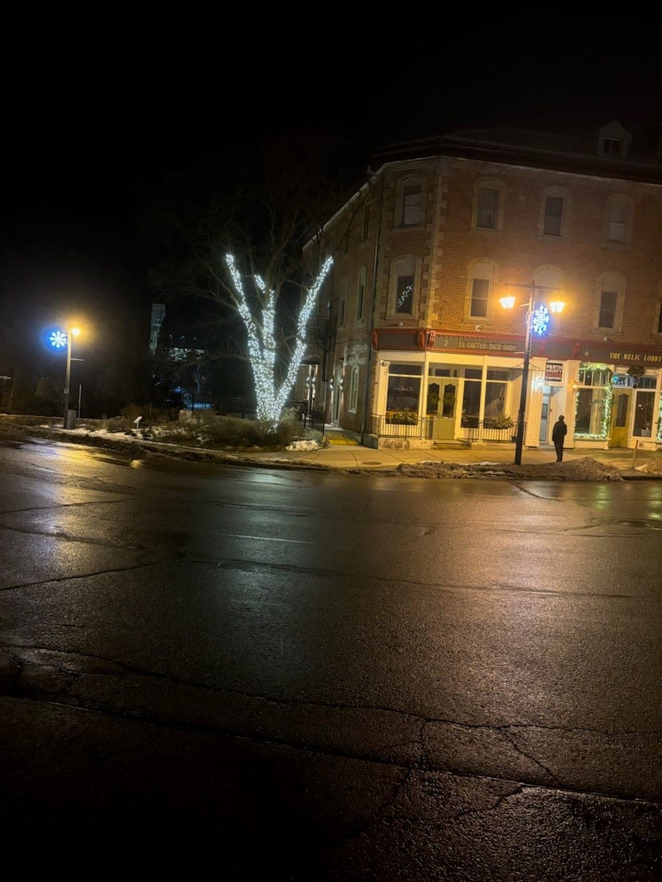 Downtown street tree wrapped in white Christmas lights outside a lit brick storefront on a winter night.