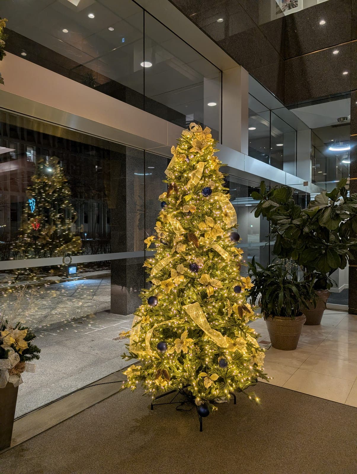Tall Christmas tree with gold ribbon and warm-white lights beside a floor-to-ceiling glass wall in an office lobby.