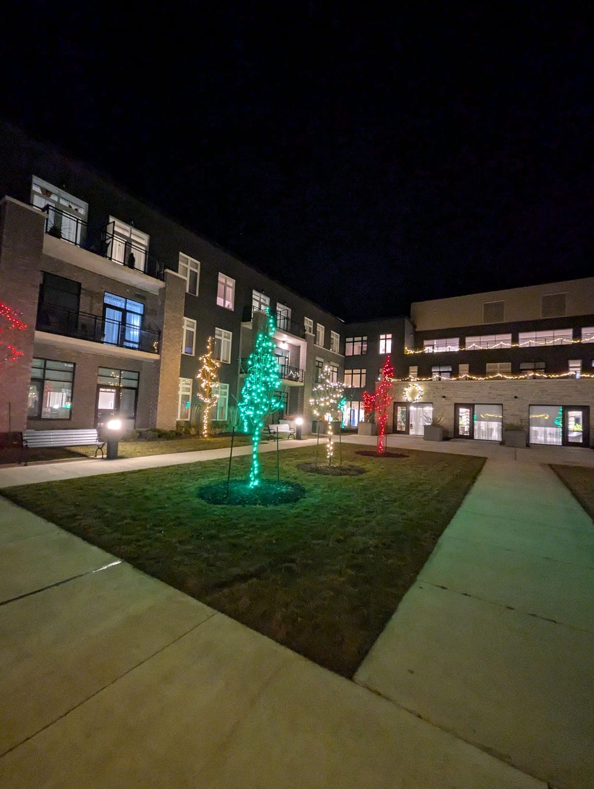 Green-wrapped Christmas light tree in a landscaped courtyard beside a multi-storey building at night