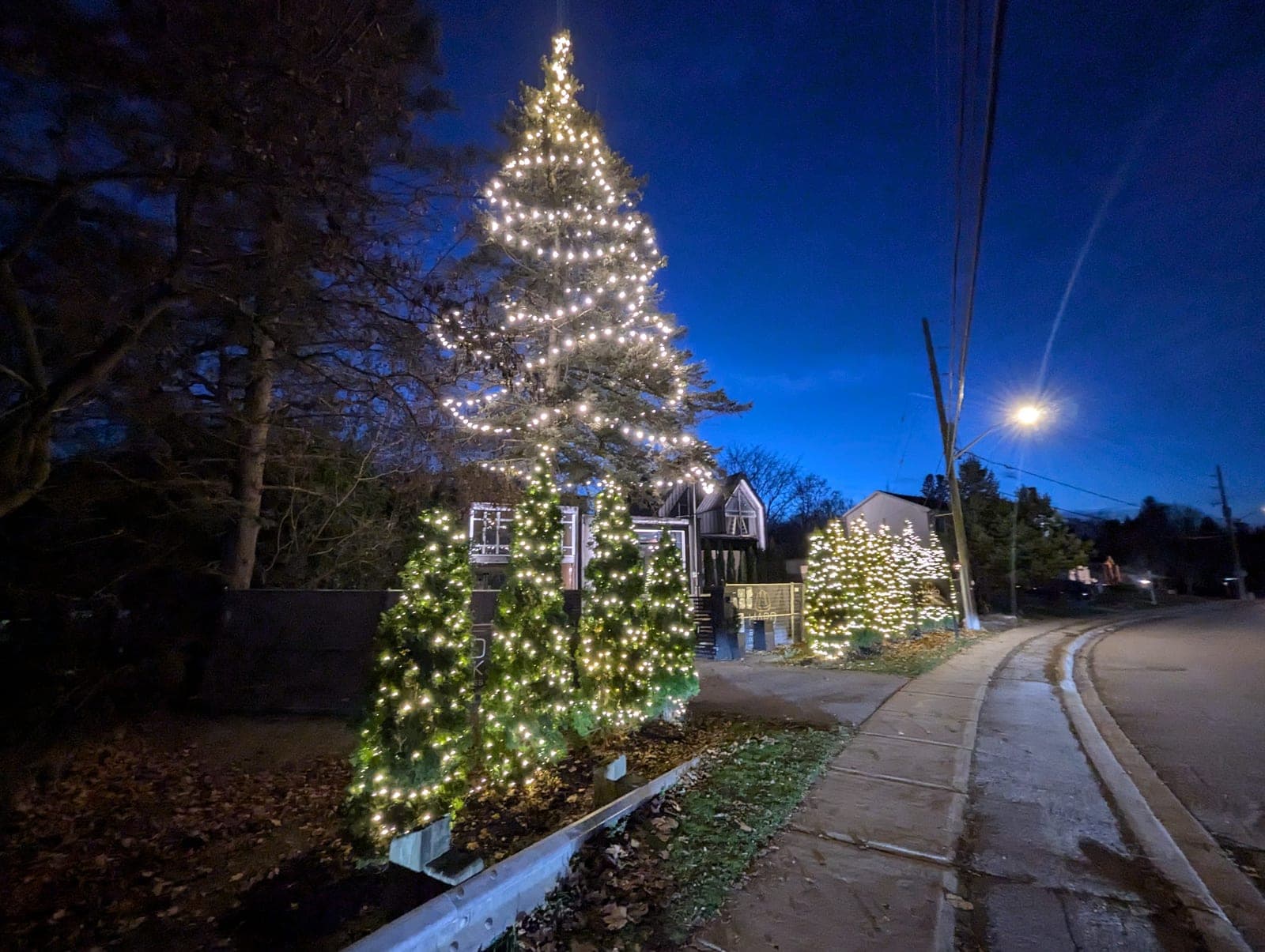 Large illuminated evergreen and lit cone trees along a commercial frontage in the evening