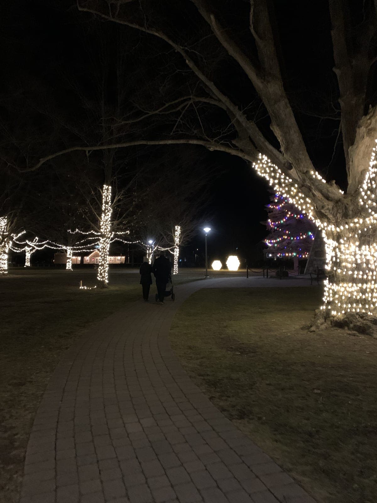 Brick pathway lined with Christmas-lit trees leading through a decorated park at night.