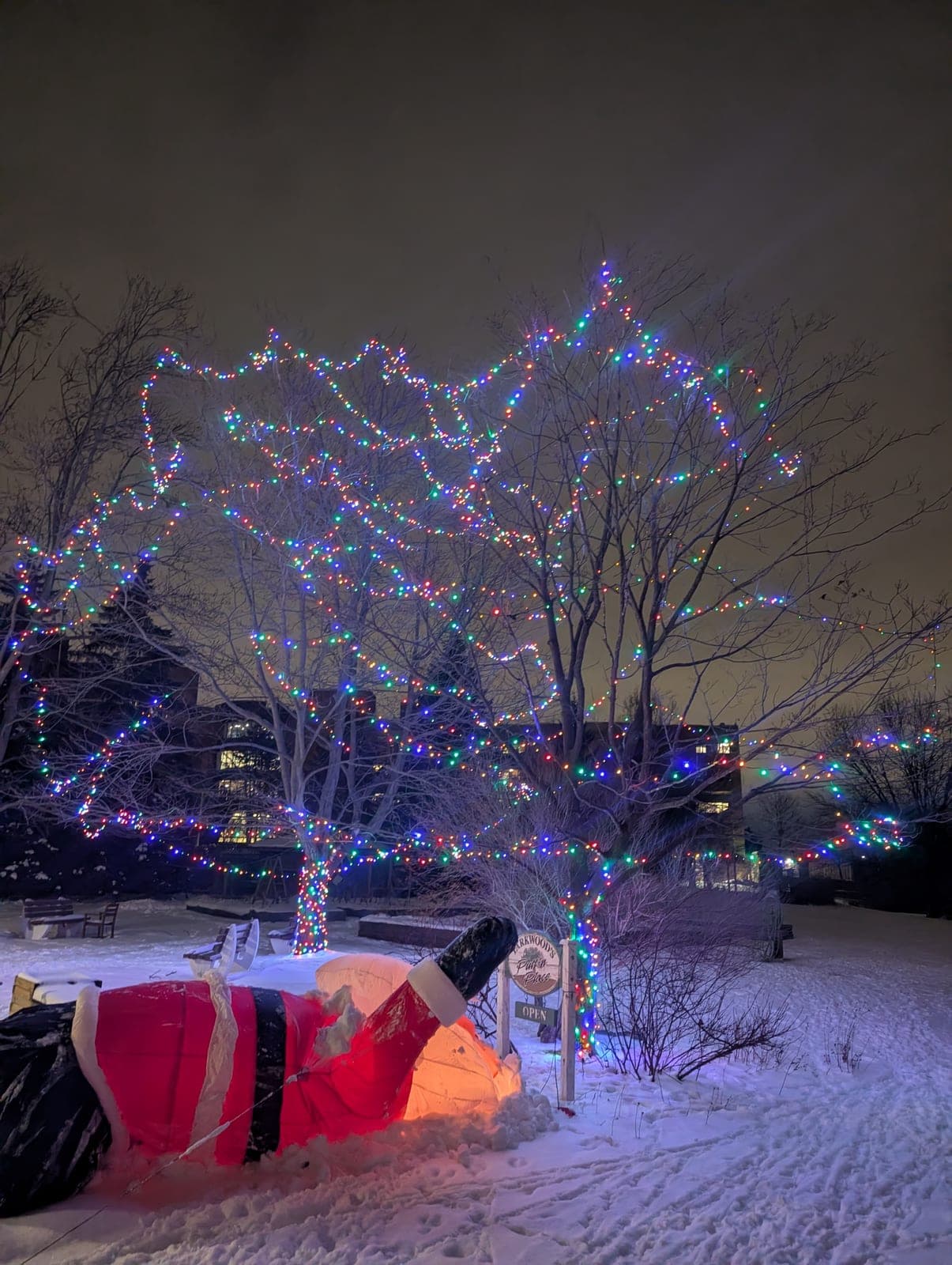 Bare trees wrapped in colourful Christmas lights over a lit Santa display in a snowy park