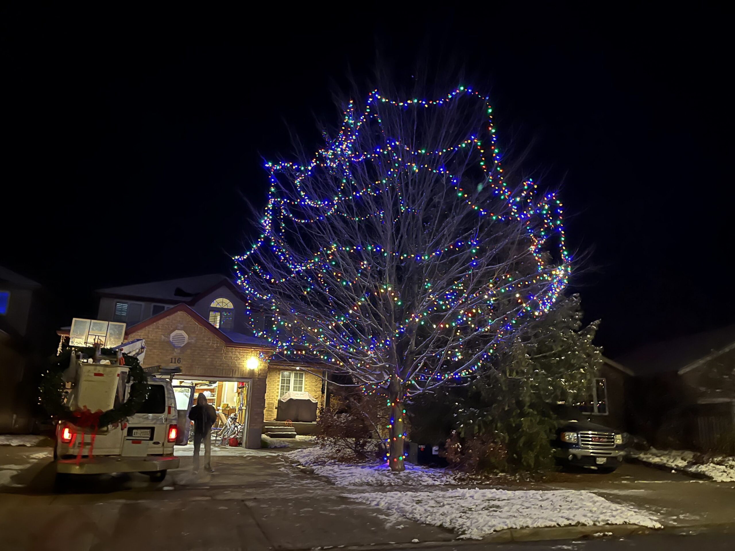 We Install Christmas LIghts Tree Lighting Decoration